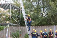 IMG_9866 (Large)